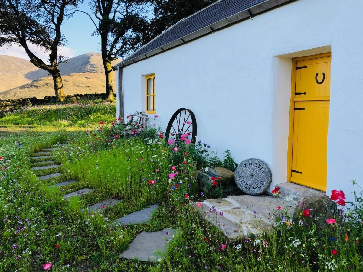Thistle Thatch Cottage And Hot Tub - Mourne Mountains Newcastle  Eksteriør billede