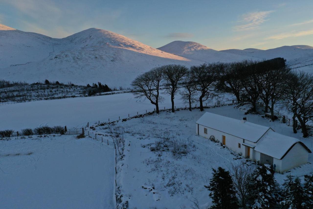 Thistle Thatch Cottage And Hot Tub - Mourne Mountains Newcastle  Eksteriør billede