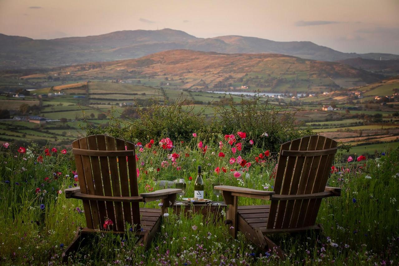Thistle Thatch Cottage And Hot Tub - Mourne Mountains Newcastle  Eksteriør billede