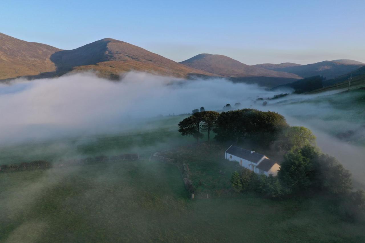 Thistle Thatch Cottage And Hot Tub - Mourne Mountains Newcastle  Eksteriør billede